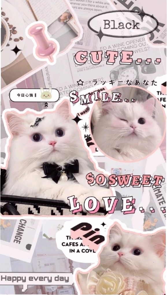 Hình nền điện thoại cute với bầu trời sao