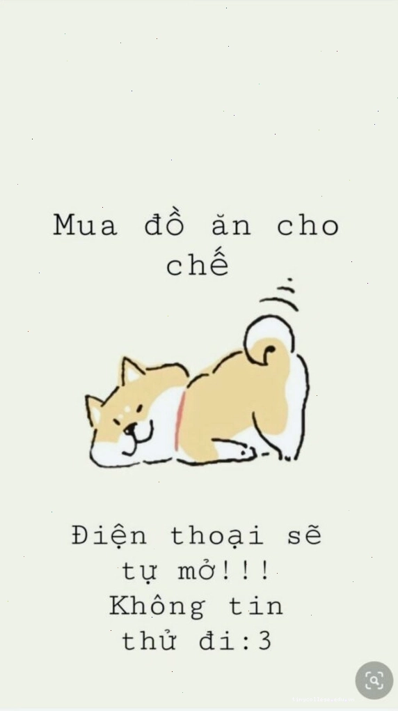 Hình nền điện thoại cute với chú mèo và thông điệp dễ thương