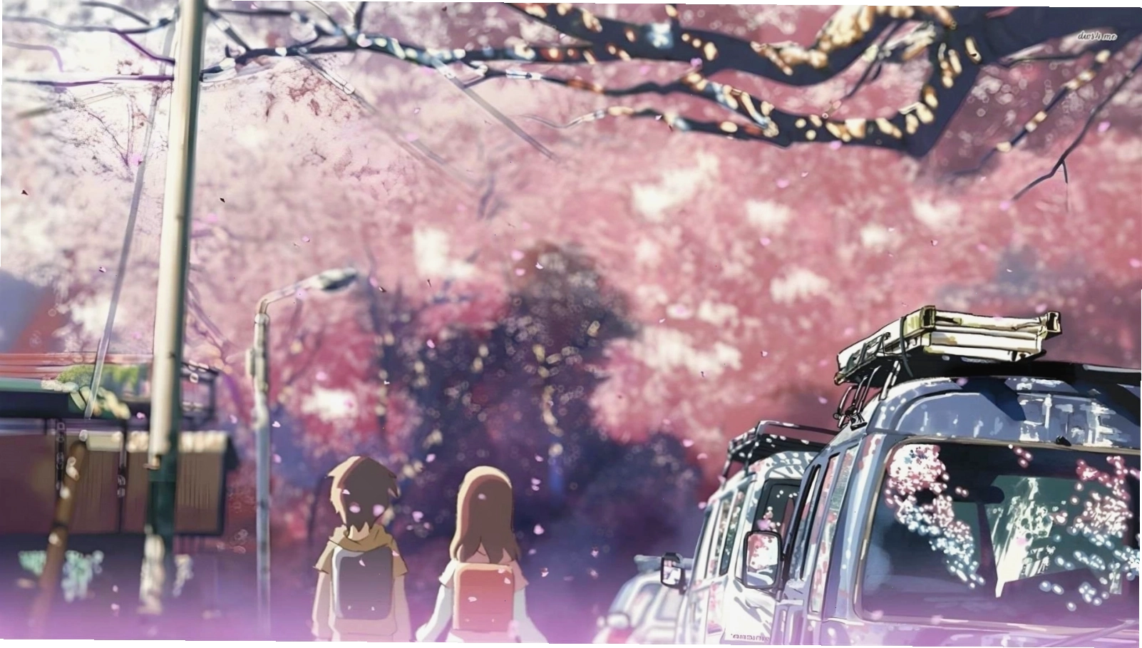 Hình nền hoa đào anime điện ảnh với tông màu trầm ấm