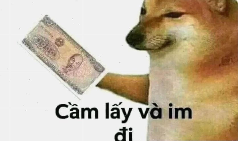 Hình nền meme hài hước 2025 với chú chó biểu cảm ngơ ngác