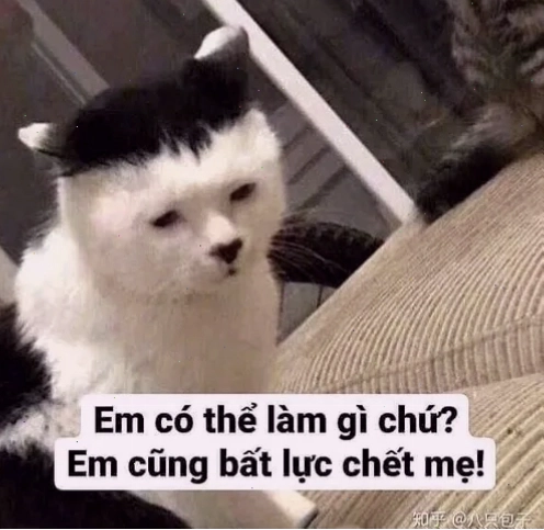 Khuôn mặt biểu cảm thất vọng rõ rệt sau một tình huống không như ý