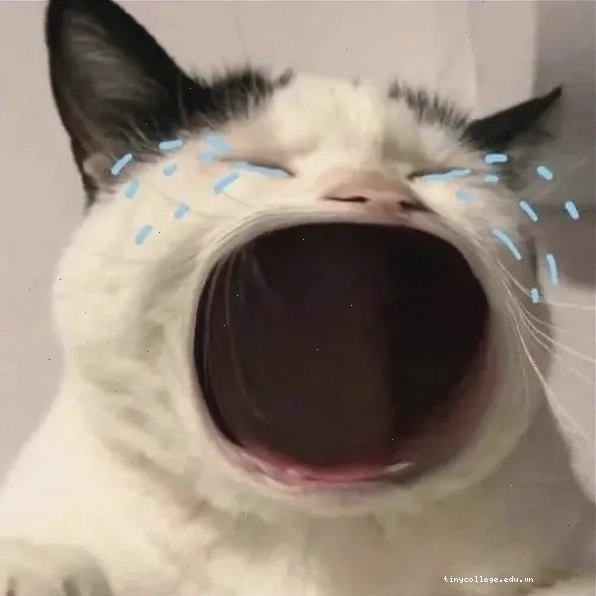 Loạt meme há miệng khiến cộng đồng mạng cười không thở nổi