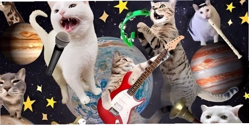 Lựa chọn hình nền meme cân bằng giữa giải trí và công việc