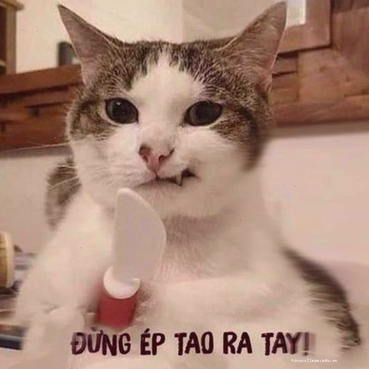Meme biểu tượng lửa tức giận