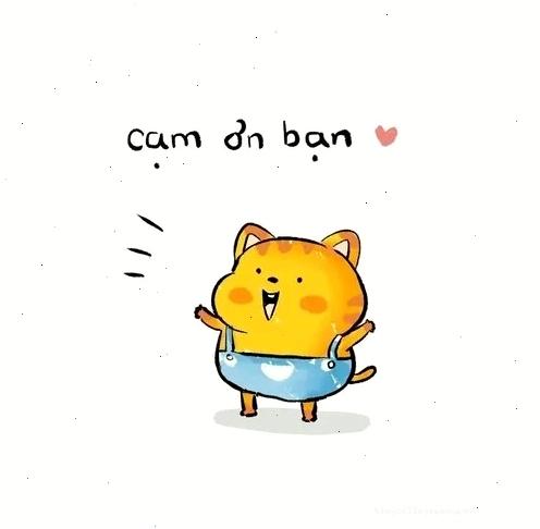 Meme cảm ơn thể hiện sự biết ơn chân thành và hài hước