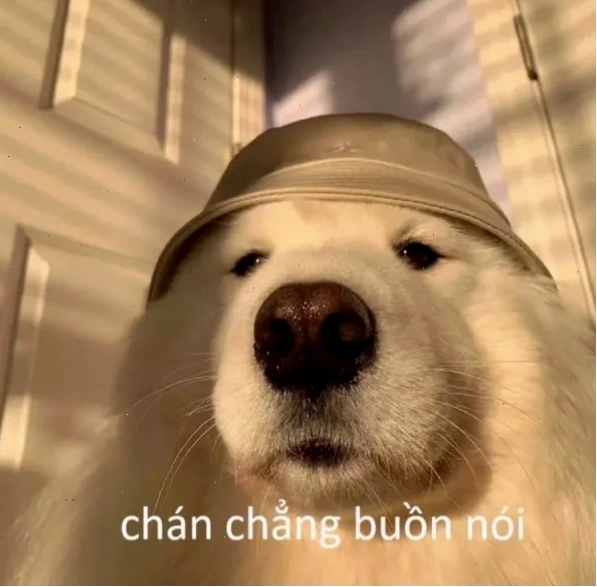 Meme chán chẳng buồn nói