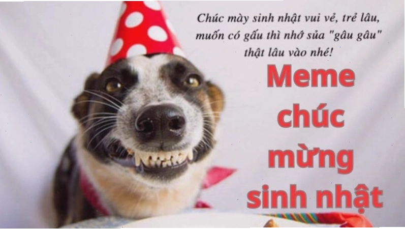 Meme chúc mừng sinh nhật độc đáo