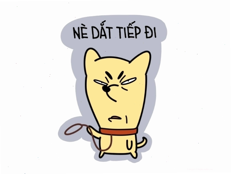 Meme cười với chú mèo biểu cảm hài hước
