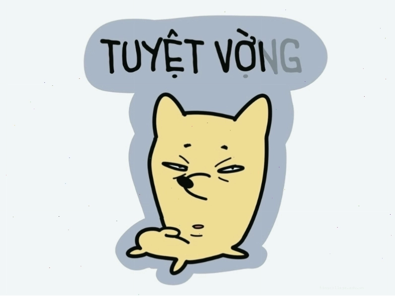 Meme đối lập giữa tuyệt vời và tuyệt vọng