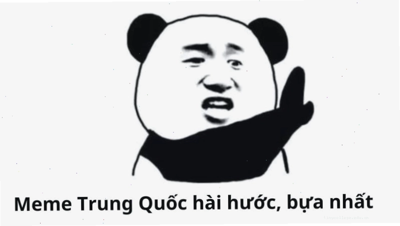Meme gấu Trung Quốc và hải ly ấn tượng