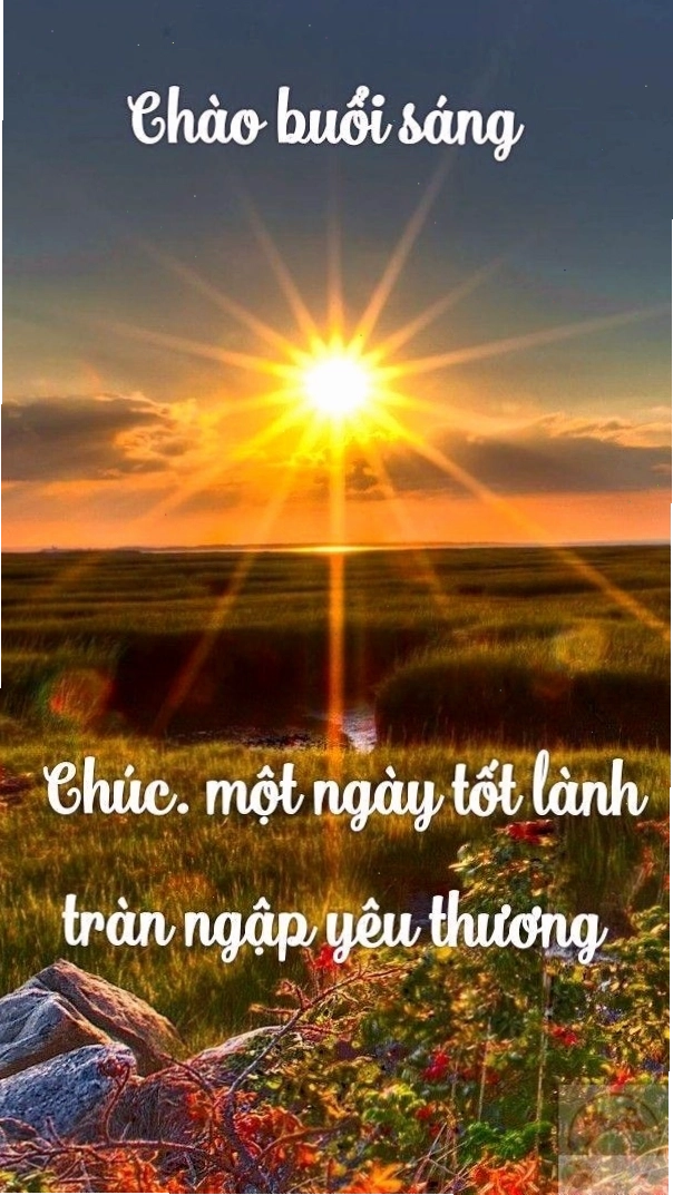 Meme good morning