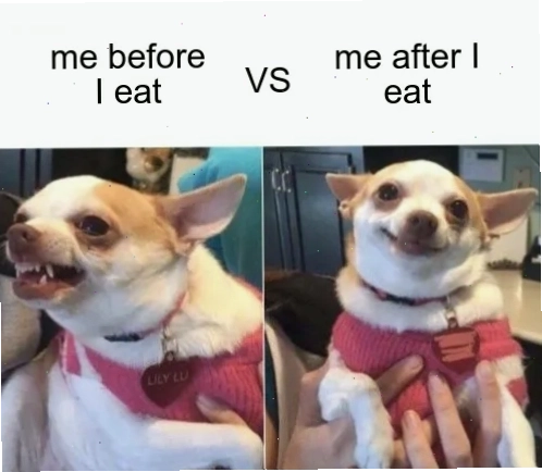 Meme hài hước về chú chó Lily Lu