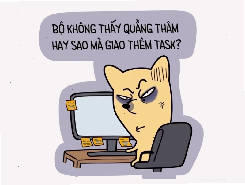 Meme hài hước về công việc và deadline