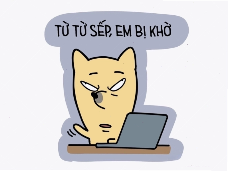 Meme hài hước về sếp và công việc