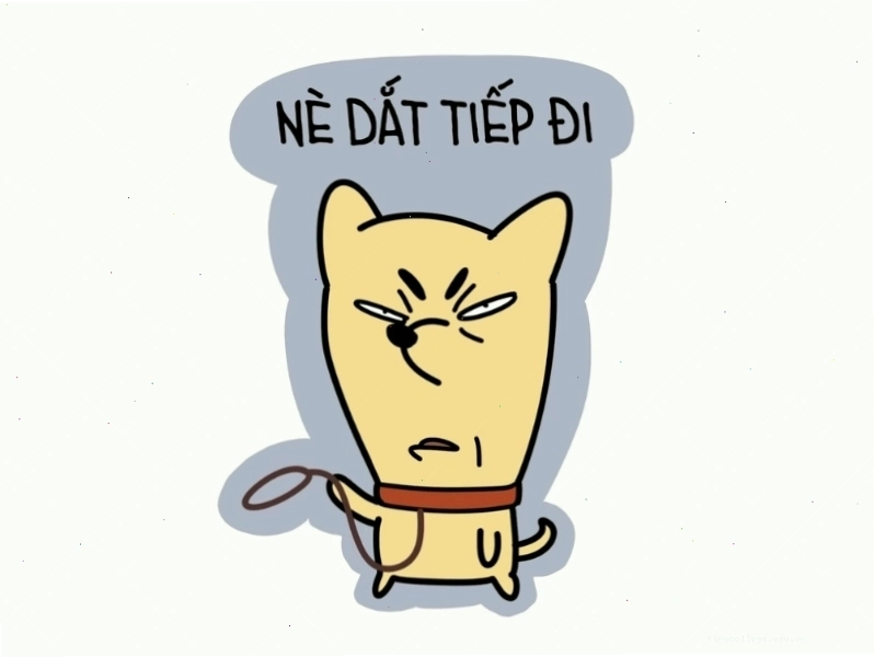 Meme hài hước về việc đòi hỏi liên tục
