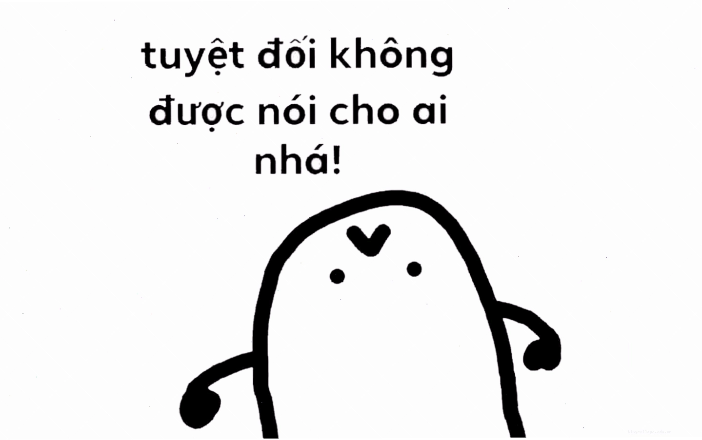 Meme hài mèo với biểu cảm "khó ở"
