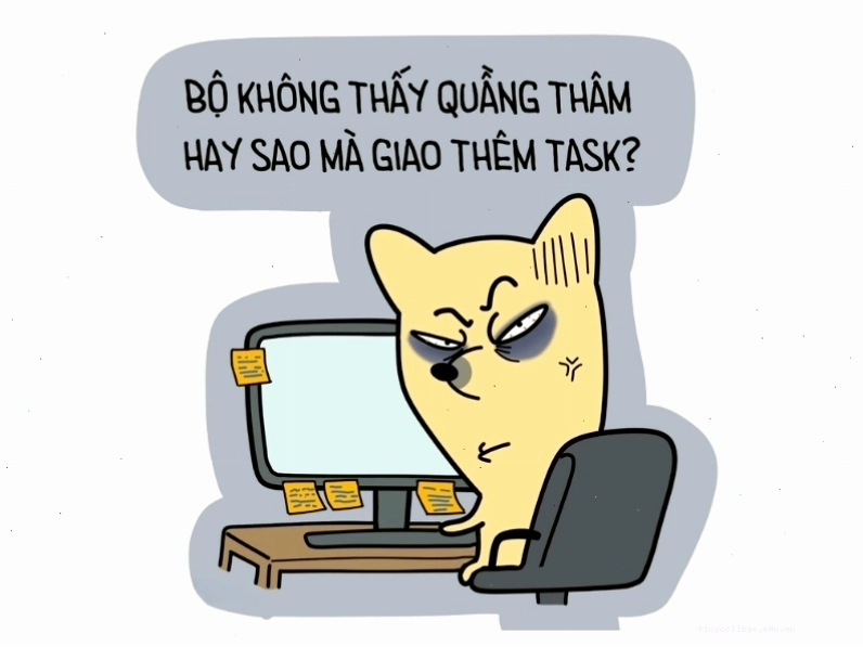 Meme không thấy quầng thâm hay sao mà giao thêm task