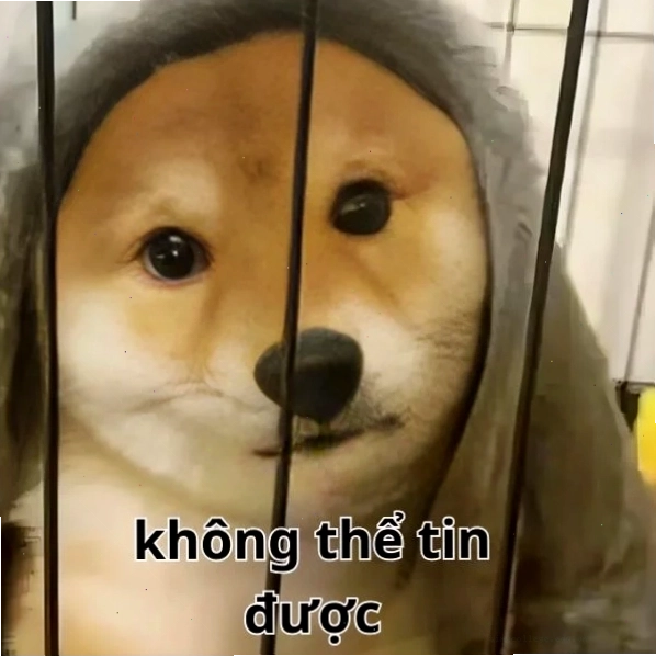 Meme không thể tin được với hình ảnh biểu cảm sốc