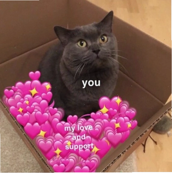 Meme mèo đeo kính nhìn nghiêng cực kỳ dễ thương