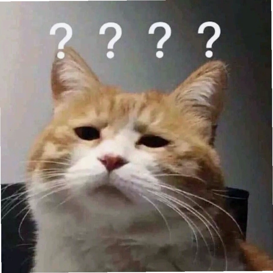 Meme mèo đeo kính với biểu cảm ngạc nhiên