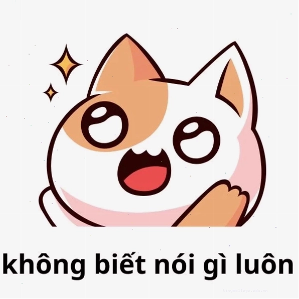 Meme mèo không biết nói gì