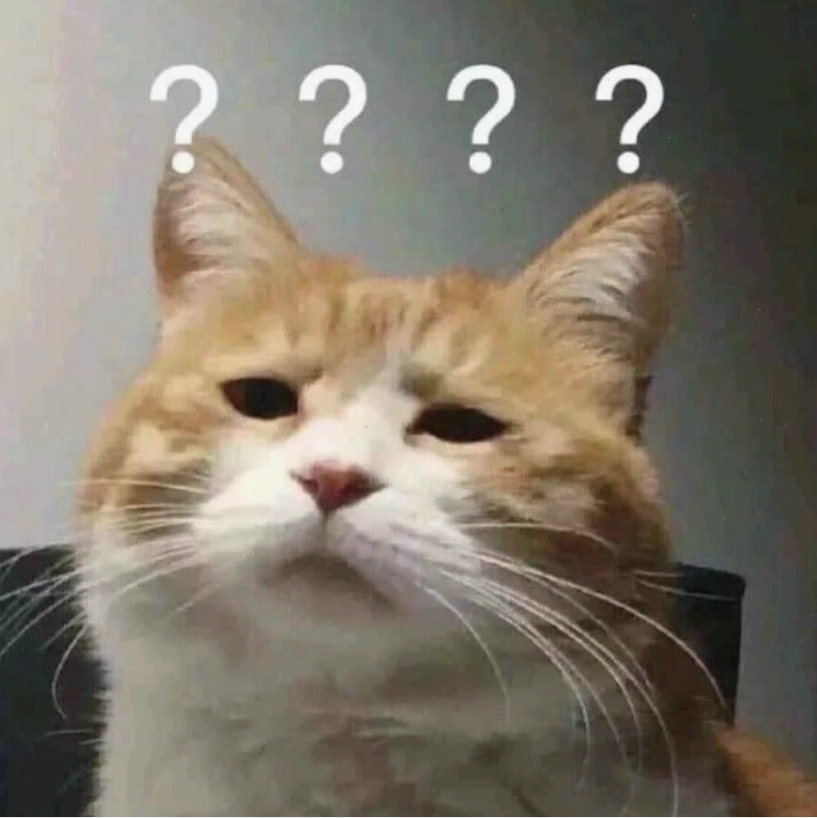 Meme mèo với ánh mắt "sát thủ" khi nhìn con mồi