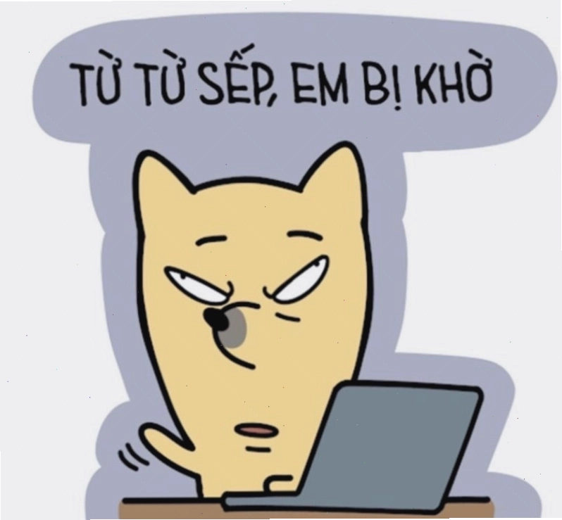 Meme mèo với biểu cảm hài hước