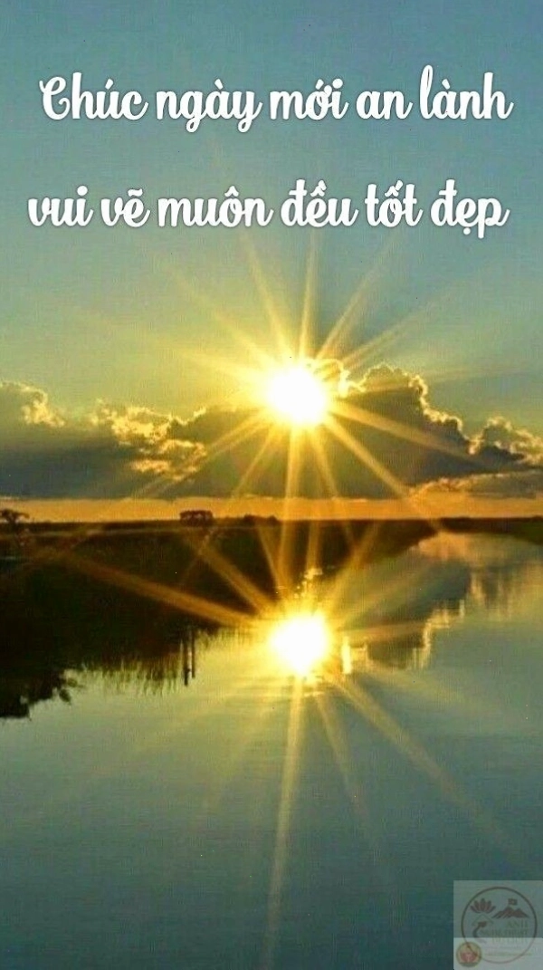 Meme ngày mới tốt lành