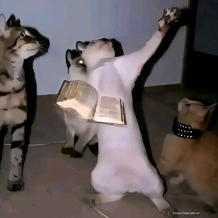 Meme quê che mặt vì những sai lầm ngớ ngẩn