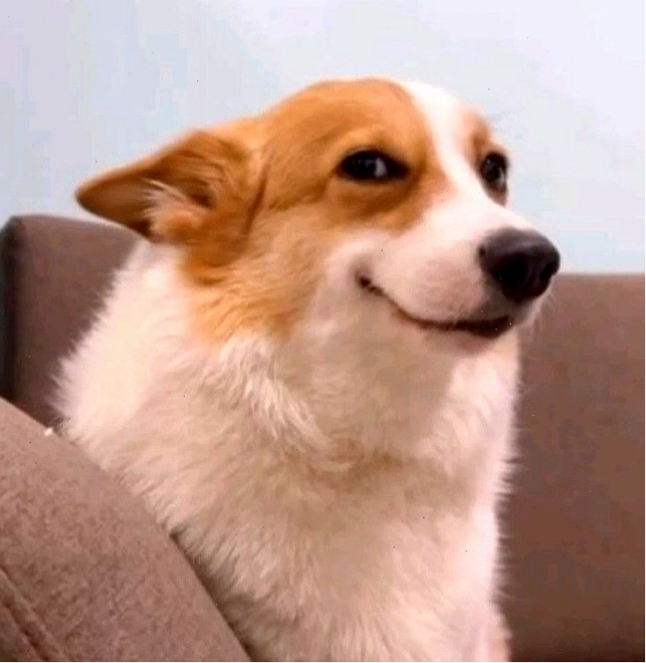 Meme quê mùa vì những tình huống oái oăm trong cuộc sống
