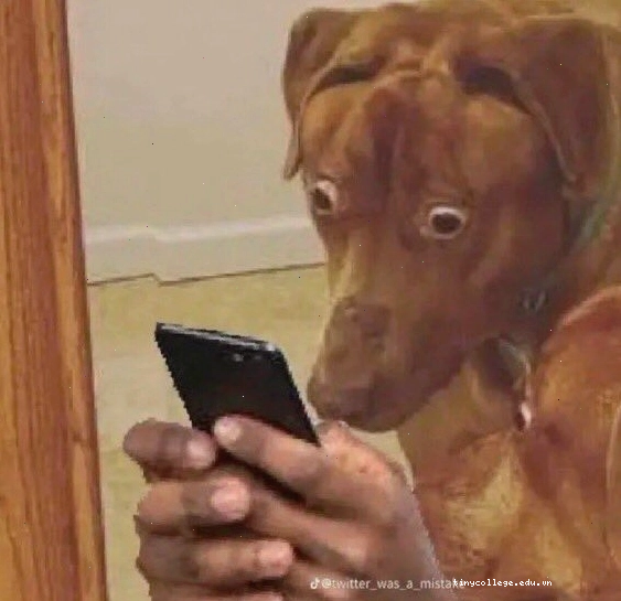 Meme quê mùa với các tình huống ngượng ngùng hài hước