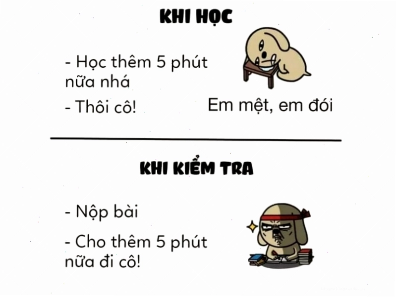 Meme so sánh thời gian học và thời gian kiểm tra