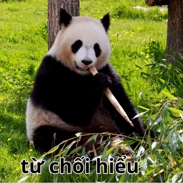 Meme từ chối hiểu