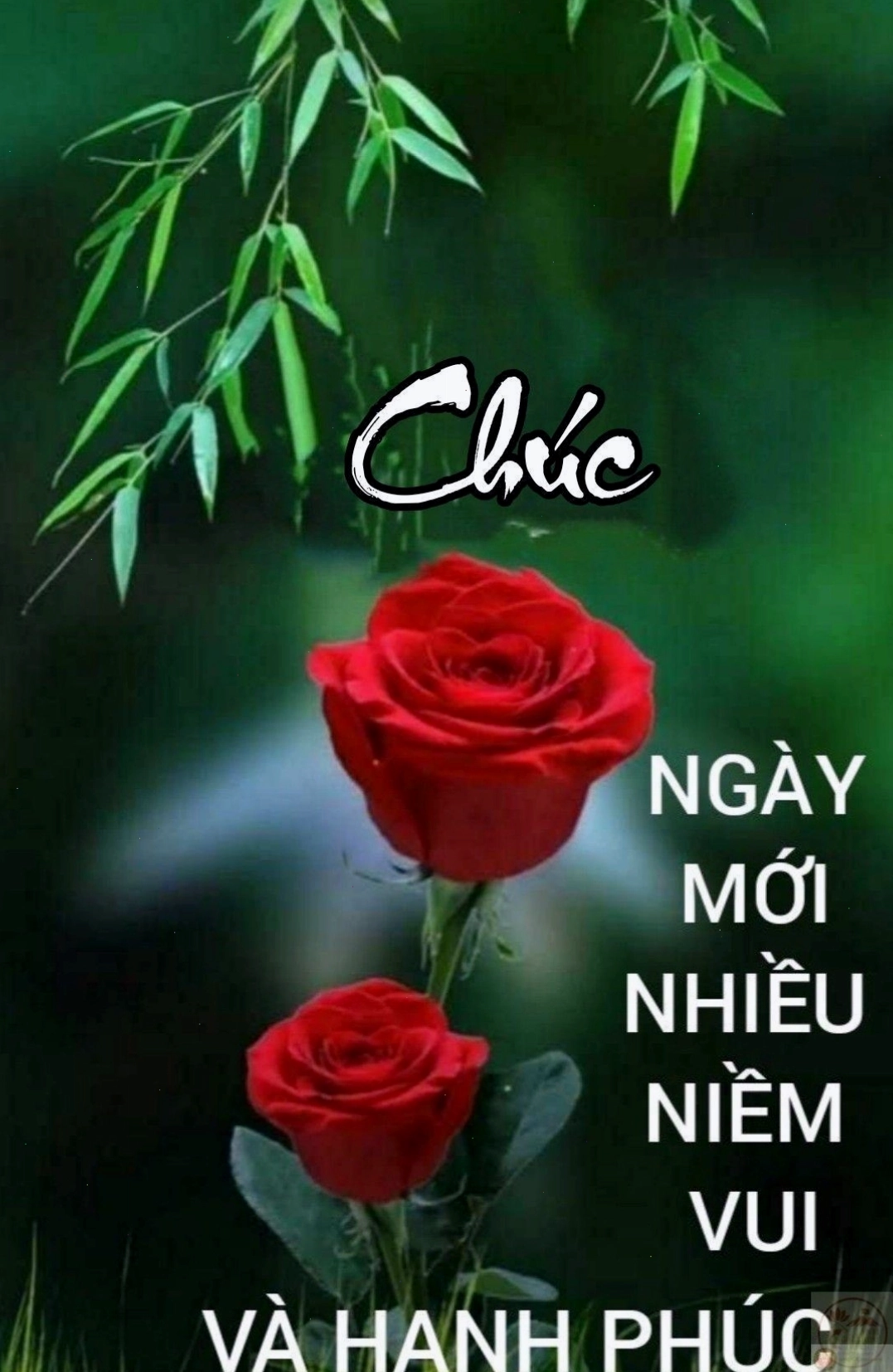 Meme vui nhộn khởi động buổi sáng