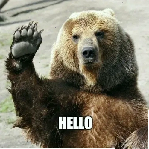 Meme xin chào với hình ảnh chú mèo đáng yêu