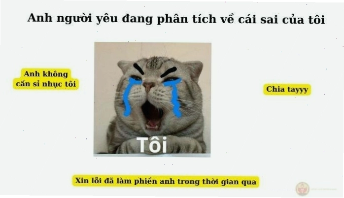 Meme xin lỗi lần đầu, lần hai thì nhắm mắt làm ngơ