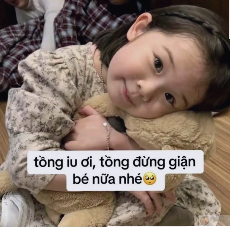 Meme xin lỗi với lời thú nhận không chắc chắn