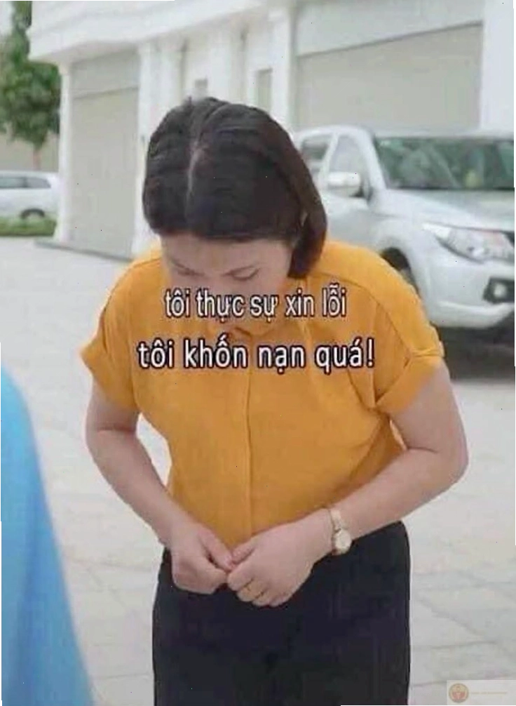 Meme xin lỗi với thái độ "không định nói nhưng bị ép"