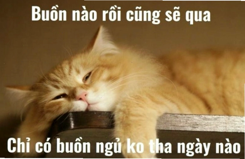 Meme ý nghĩa về giấc ngủ và sự thư giãn