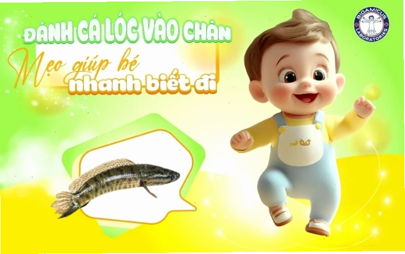 Mẹo dân gian đập cá lóc vào chân giúp bé nhanh biết đi