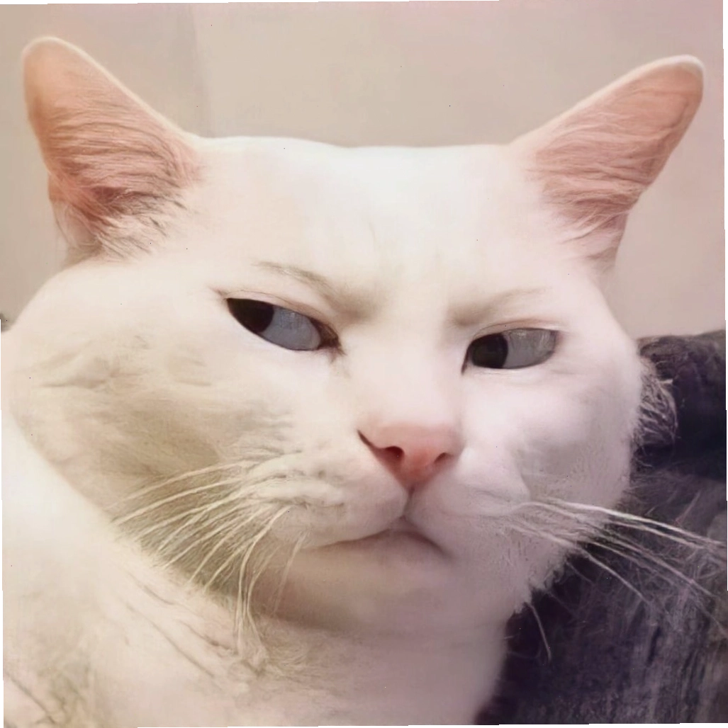 Mèo meme đang thèm ăn