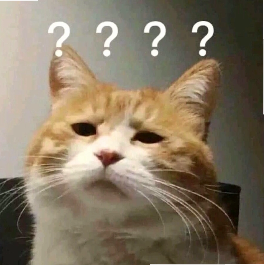 Mèo meme với biểu cảm 