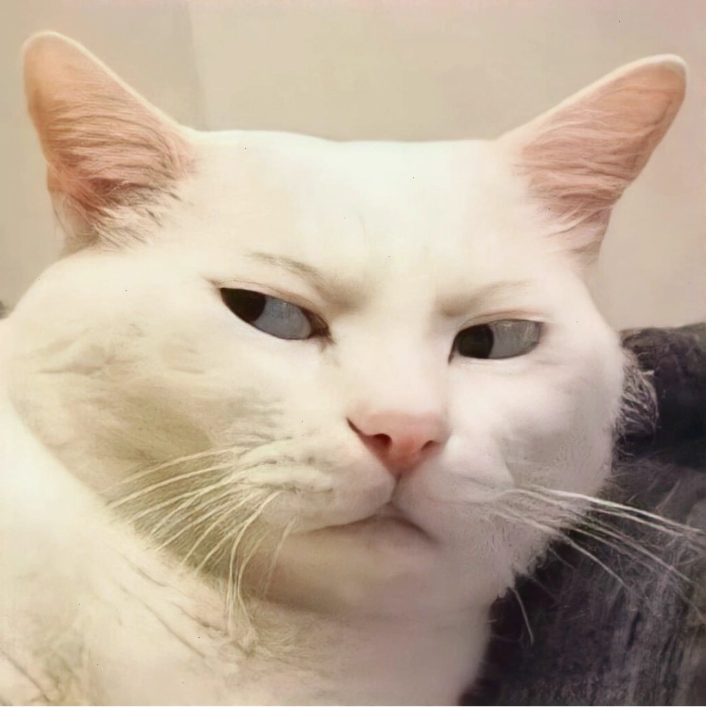 Mèo meme với biểu cảm 