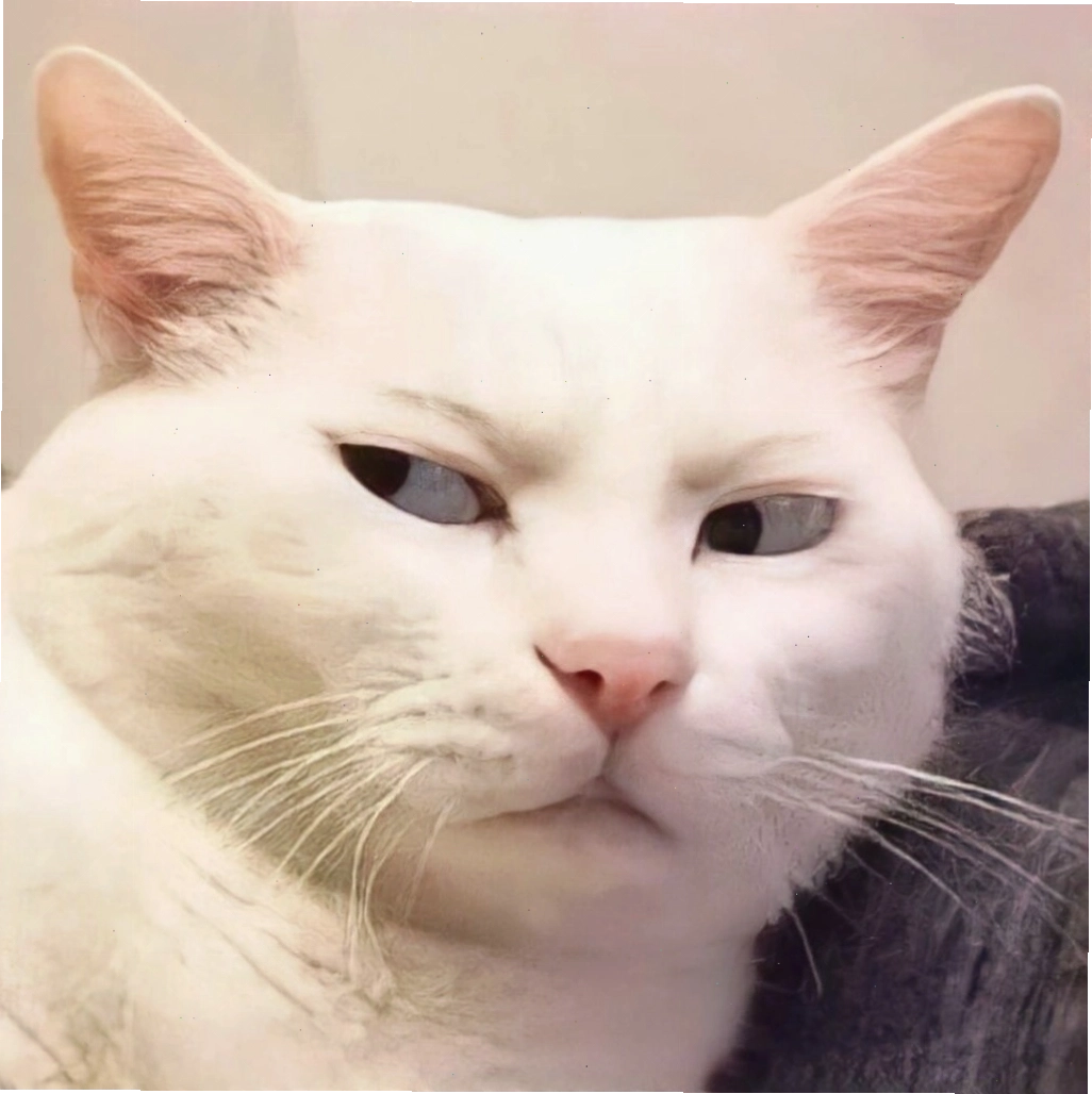 Mèo meme với biểu cảm khó tả
