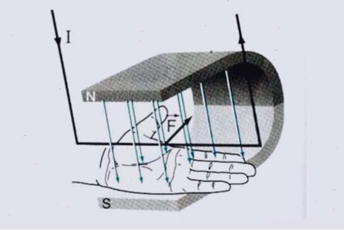 Minh họa lực điện từ tác dụng lên dây dẫn mang dòng điện trong từ trường