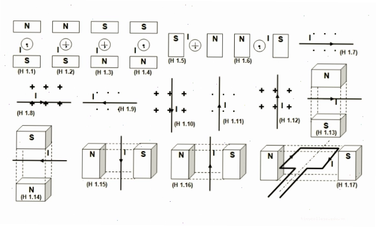Minh họa quy tắc bàn tay trái xác định lực điện từ