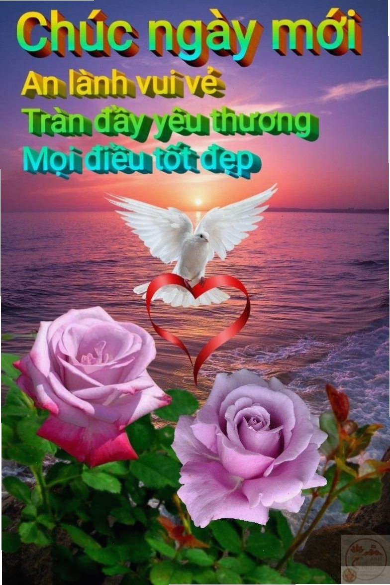 Nhận ảnh chế buổi sáng khiến tinh thần phấn chấn