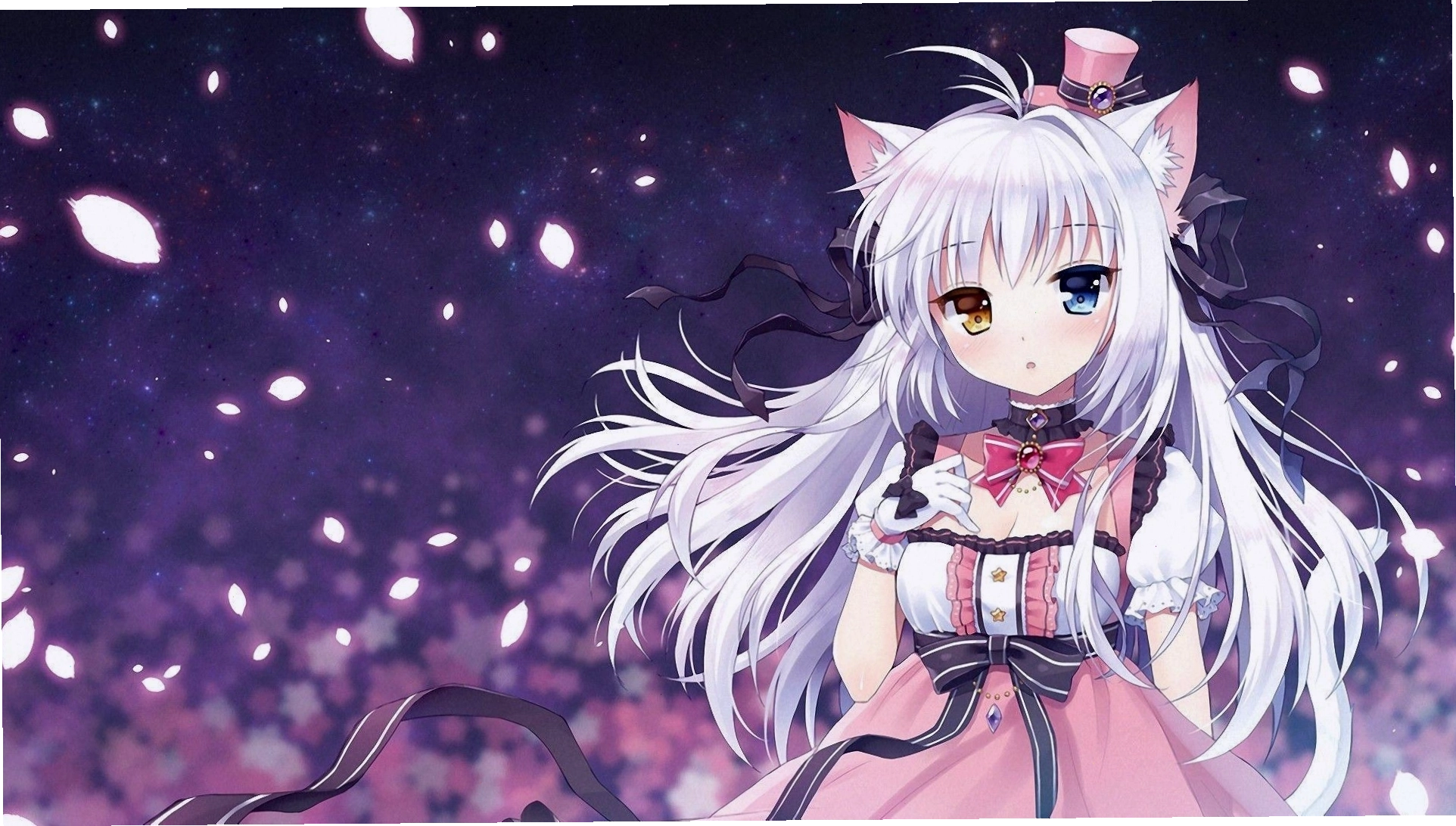 Nhiều cô gái mèo anime dễ thương với các biểu cảm khác nhau