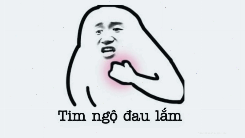 Những ảnh meme hài hước mang tính giải trí cao