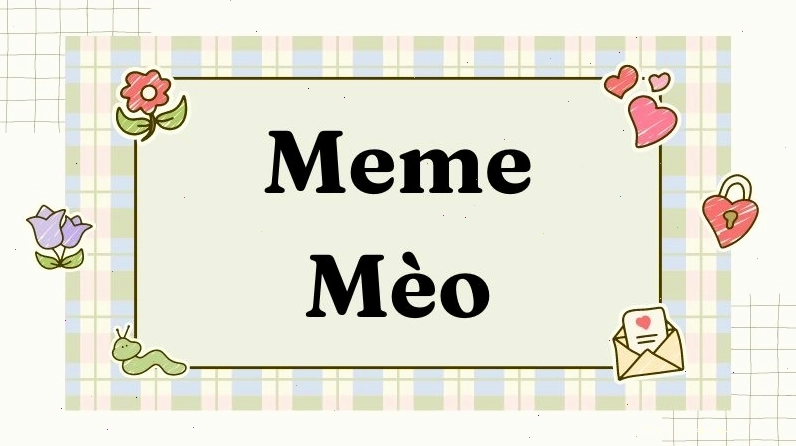 Những hình ảnh Meme Mèo hài hước và bựa nhất